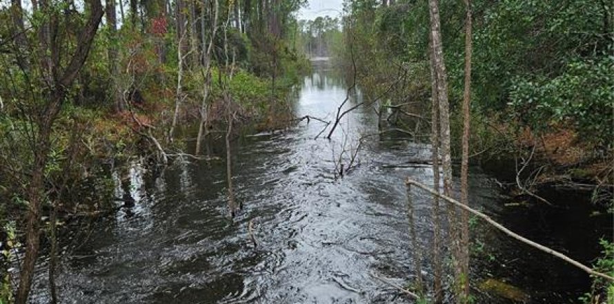 Terreno en Deltona, Florida № 1432315