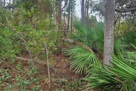 Terreno en venta en Deltona, Florida № 1432315 - foto 30