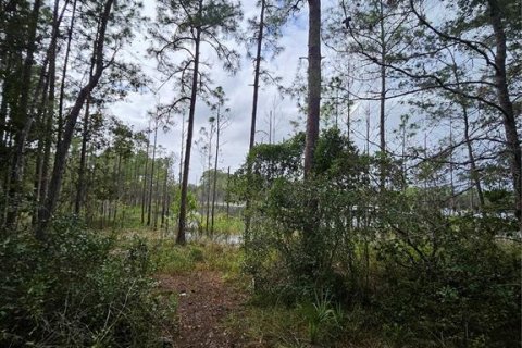 Terreno en venta en Deltona, Florida № 1432315 - foto 16