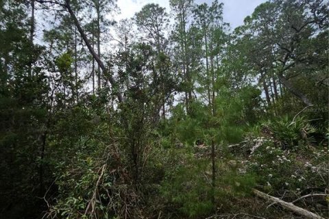 Terreno en venta en Deltona, Florida № 1432315 - foto 11