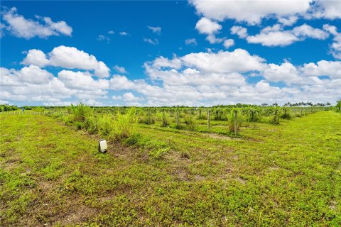 Купить земельный участок в Хомстед, Флорида № 696881 - фото 6