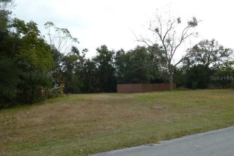 Land in Apopka, Florida № 1376866 - photo 1