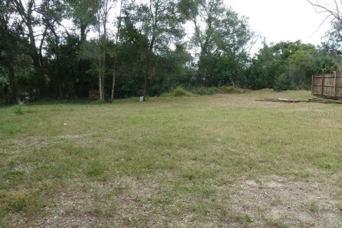 Terreno en venta en Apopka, Florida № 1376866 - foto 2