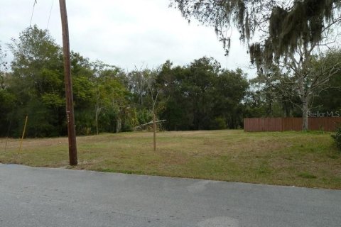 Terrain à vendre à Apopka, Floride № 1376866 - photo 3