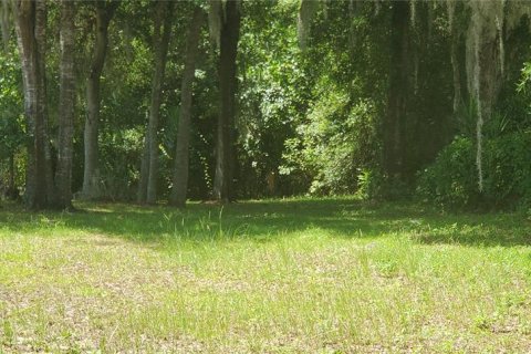 Terrain à vendre à Dunnellon, Floride № 1287580 - photo 5