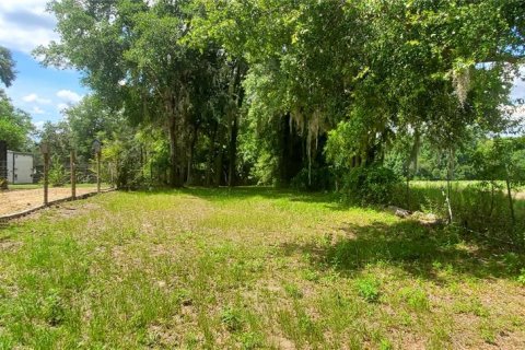 Terrain à vendre à Dunnellon, Floride № 1287580 - photo 4