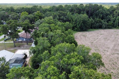 Land in Dunnellon, Florida № 1287580 - photo 16