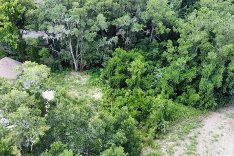 Terreno en venta en Dunnellon, Florida № 1287580 - foto 19