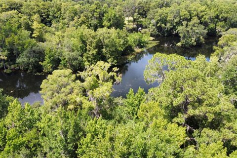 Terrain à vendre à Dunnellon, Floride № 1287580 - photo 6