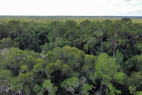 Terrain à vendre à Dunnellon, Floride № 1287580 - photo 20