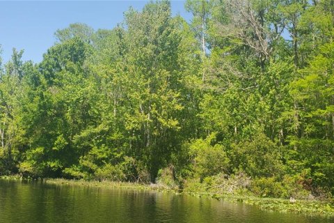 Terrain à vendre à Dunnellon, Floride № 1287580 - photo 3