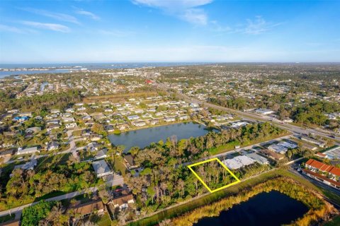 Terreno en venta en Englewood, Florida № 1217762 - foto 7