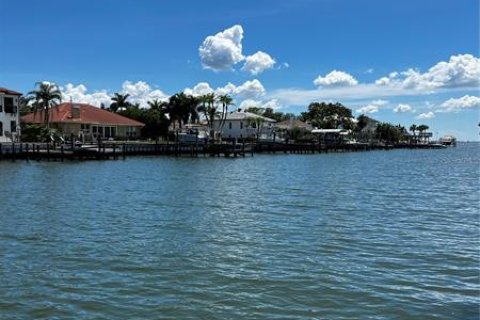 Casa en venta en Tampa, Florida, 5 dormitorios, 586.68 m2 № 253035 - foto 3