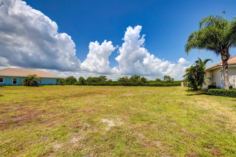 Terrain à vendre à Hutchinson Island South, Floride № 1099197 - photo 12