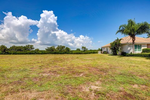Terrain à vendre à Hutchinson Island South, Floride № 1099197 - photo 16