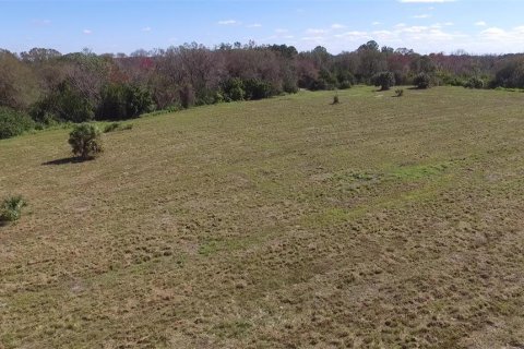 Land in Mulberry, Florida № 1246187 - photo 3