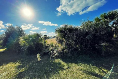 Land in Port Charlotte, Florida № 916658 - photo 2