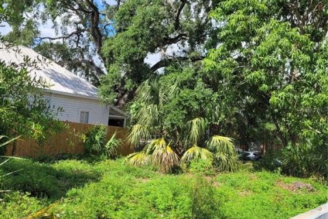 Land in Tampa, Florida № 1255442 - photo 3