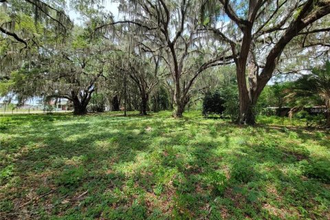 Land in Belleview, Florida № 1255493 - photo 1