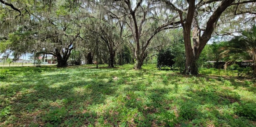 Terrain à Belleview, Floride № 1255493