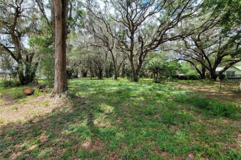 Terrain à vendre à Belleview, Floride № 1255493 - photo 2