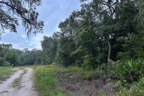 Terrain à vendre à New Port Richey, Floride № 1381243 - photo 4