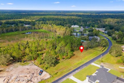 Terreno en venta en Wesley Chapel, Florida № 1390113 - foto 4