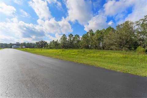 Terreno en venta en Wesley Chapel, Florida № 1390113 - foto 14