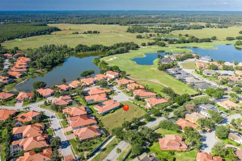 Land in Trinity, Florida № 1267486 - photo 5