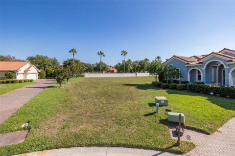 Terreno en venta en Trinity, Florida № 1267486 - foto 6