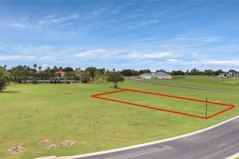 Terreno en venta en Lake Alfred, Florida № 1408624 - foto 7