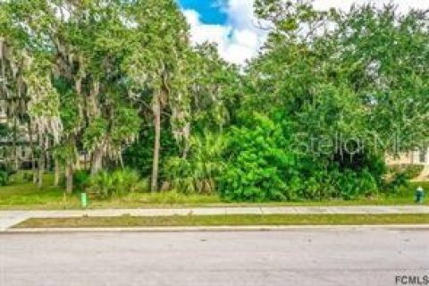 Terreno en venta en Palm Coast, Florida № 1297266 - foto 7