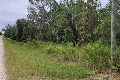 Terrain à vendre à Dunnellon, Floride № 1382751 - photo 2