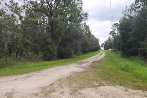 Terrain à vendre à Dunnellon, Floride № 1382751 - photo 6