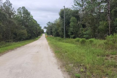 Terrain à vendre à Dunnellon, Floride № 1382751 - photo 5