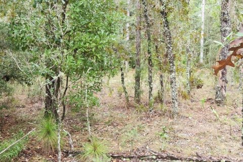 Terreno en venta en Dunnellon, Florida № 1382751 - foto 4