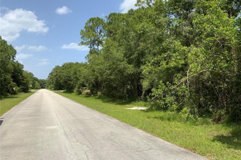 Купить земельный участок в Сент-Луси, Флорида № 645098 - фото 4