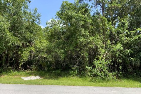 Купить земельный участок в Сент-Луси, Флорида № 645098 - фото 2