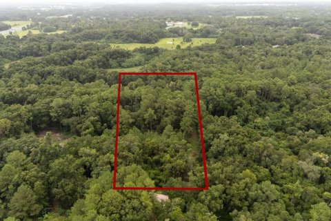 Terreno en venta en Ocala, Florida № 1308904 - foto 2