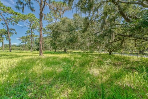 Terreno en venta en Ruskin, Florida № 1301170 - foto 1