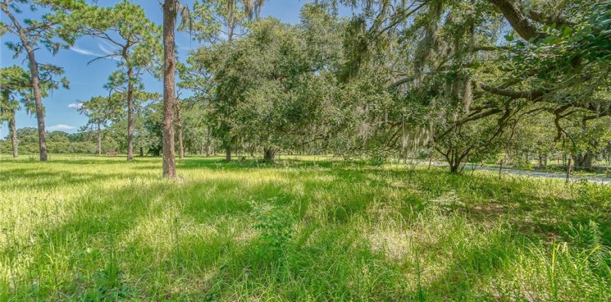 Terreno en Ruskin, Florida № 1301170