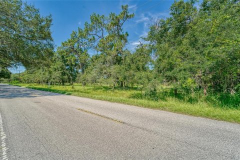 Terreno en venta en Ruskin, Florida № 1301170 - foto 4