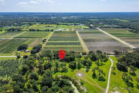 Land in Ruskin, Florida № 1301170 - photo 7