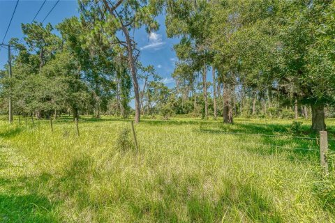 Land in Ruskin, Florida № 1301170 - photo 2