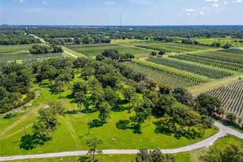 Terreno en venta en Ruskin, Florida № 1301170 - foto 8