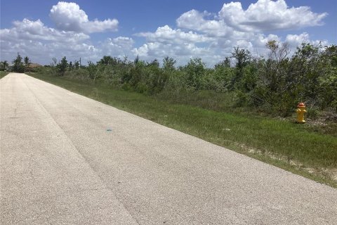 Land in Port Charlotte, Florida № 920110 - photo 11