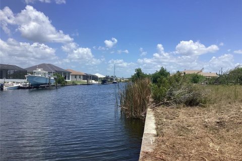 Land in Port Charlotte, Florida № 920110 - photo 1