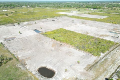 Land in Okeechobee, Florida № 1295838 - photo 7