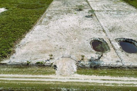 Land in Okeechobee, Florida № 1295838 - photo 3