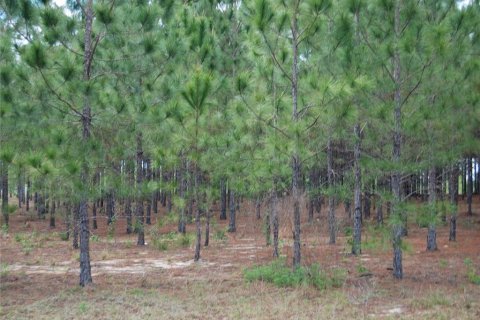 Terrain à vendre à Ocala, Floride № 1295883 - photo 6